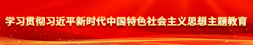 肏逼操逼视频电影学习贯彻习近平新时代中国特色社会主义思想主题教育